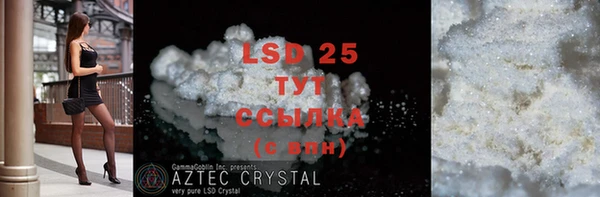 PSILOCYBIN Бородино