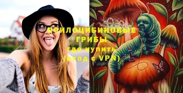 дурь Бронницы