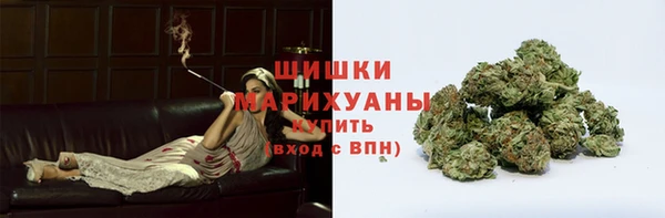 дурь Бронницы