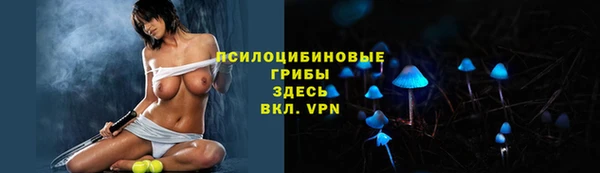 дурь Бронницы