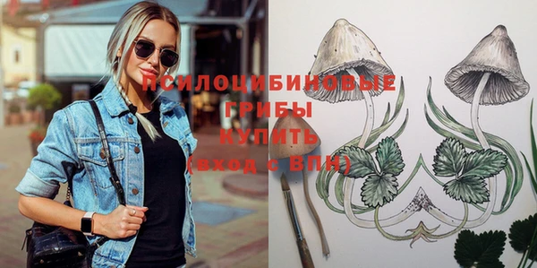 соль курить ск Верея
