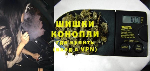 PSILOCYBIN Бородино