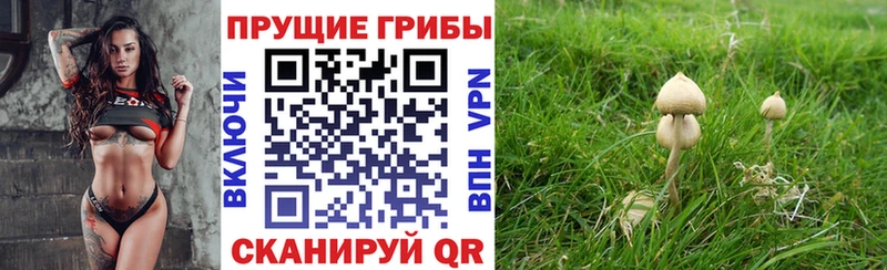 KRAKEN как зайти  Рыбинск  Псилоцибиновые грибы MAGIC MUSHROOMS 